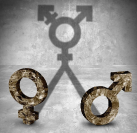 gender-neutral-symbol-concept-transgender-sexuality-identity-as-male-female-casting-shadow-d-illustration-style-111952853